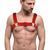 Чоловіча прозора портупея на груди Feral Feelings Bulldog Harness Red Trasparent зображення