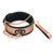 Ошейник с поводком Liebe Seele Rose Gold Memory Collar with Leash картинка