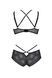 Красивий комплект Passion ECO DROSERA BIKINI black, розмір L/XL  картинка 4