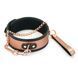 Ошейник с поводком Liebe Seele Rose Gold Memory Collar with Leash картинка 1