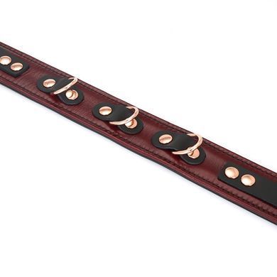 Шкіряний нашийник з повідцем Liebe Seele Wine Red Collar and Leash зображення