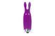 Мини вибратор кролик Adrien Lastic Pocket Vibe Rabbit Purple, Фиолетовый картинка
