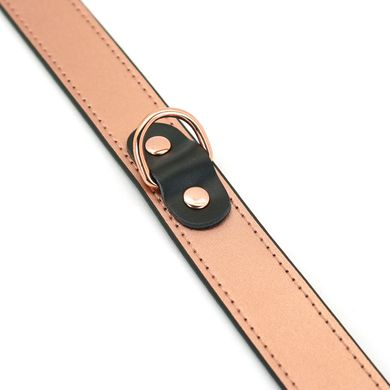 Ошейник с зажимами для сосков Liebe Seele Rose Gold Memory Collar with Nipple Clamps картинка