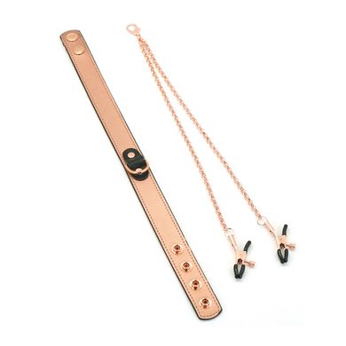 Ошейник с зажимами для сосков Liebe Seele Rose Gold Memory Collar with Nipple Clamps картинка