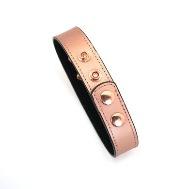 Ошейник с зажимами для сосков Liebe Seele Rose Gold Memory Collar with Nipple Clamps картинка