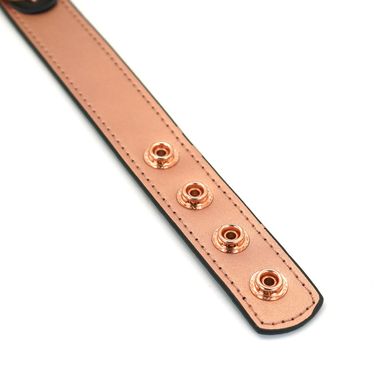 Ошейник с зажимами для сосков Liebe Seele Rose Gold Memory Collar with Nipple Clamps картинка