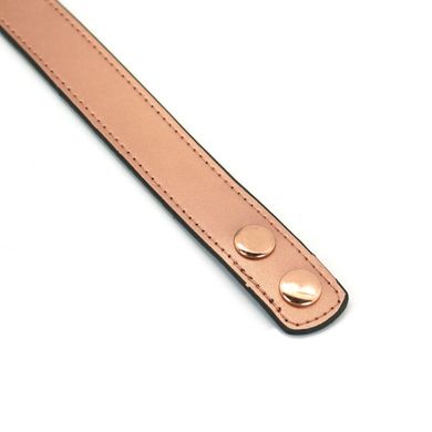 Ошейник с зажимами для сосков Liebe Seele Rose Gold Memory Collar with Nipple Clamps картинка