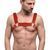 Чоловіча портупея на груди Feral Feelings Bulldog Harness Red зображення