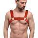 Мужская портупея на грудь Feral Feelings Bulldog Harness Red картинка