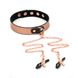 Нашийник із затискачами для сосків Liebe Seele Rose Gold Memory Collar with Nipple Clamps картинка 9