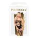 Бодістокінг з вирізом на животику Penthouse Hot Nightfall Black, розмір S/L картинка 3